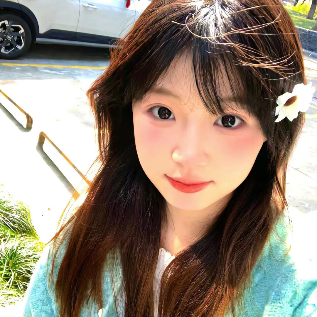 狐狸捕手